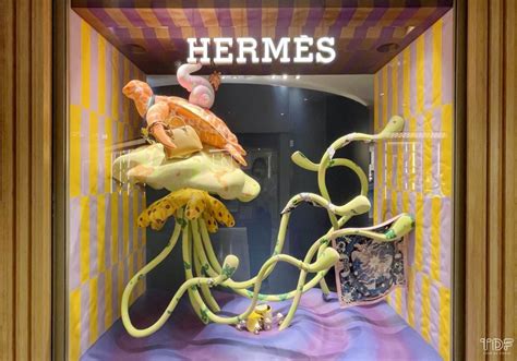 ‎HERMES (Visual Video) 